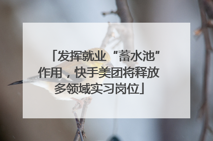 发挥就业“蓄水池”作用，快手美团将释放多领域实习岗位