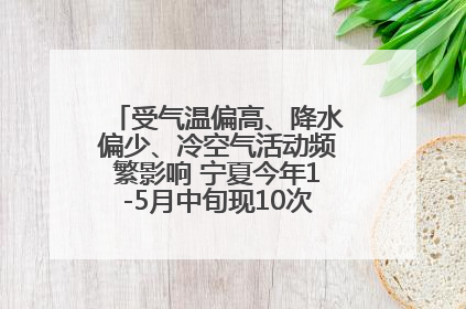 受气温偏高、降水偏少、冷空气活动频繁影响 宁夏今年1-5月中旬现10次定级沙尘天气过程