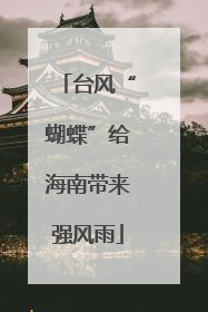 台风“蝴蝶”给海南带来强风雨