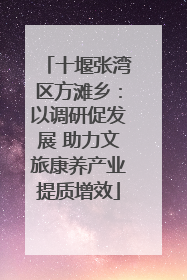 十堰张湾区方滩乡：以调研促发展 助力文旅康养产业提质增效