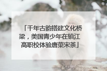 千年古韵搭建文化桥梁，美国青少年在镇江高职校体验唐菓宋茶