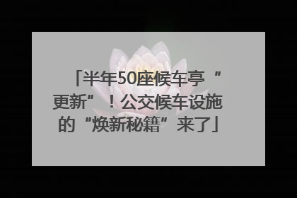 半年50座候车亭“更新”！公交候车设施的“焕新秘籍”来了