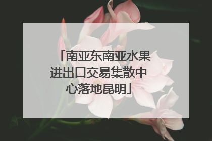 南亚东南亚水果进出口交易集散中心落地昆明