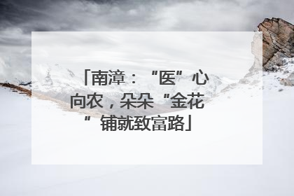 南漳：“医”心向农，朵朵“金花”铺就致富路