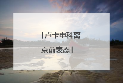 卢卡申科离京前表态