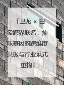 卫龙 × 白象跨界联名：辣味基因的跨维度共振与行业范式重构