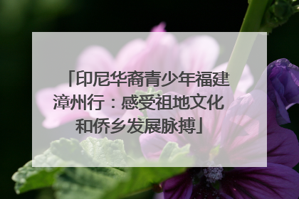 印尼华裔青少年福建漳州行：感受祖地文化和侨乡发展脉搏