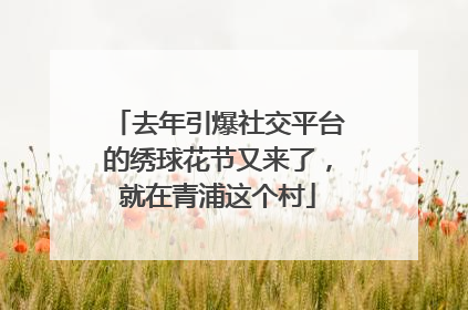 去年引爆社交平台的绣球花节又来了，就在青浦这个村
