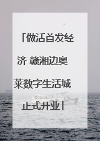 做活首发经济 赣湘边奥莱数字生活城正式开业