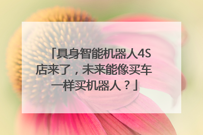 具身智能机器人4S店来了，未来能像买车一样买机器人？