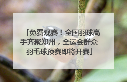 免费观赛!全国羽球高手齐聚郑州,全运会群众羽毛球预赛即将开赛
