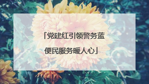 党建红引领警务蓝 便民服务暖人心