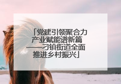 党建引领聚合力 产业赋能谱新篇——刁镇街道全面推进乡村振兴