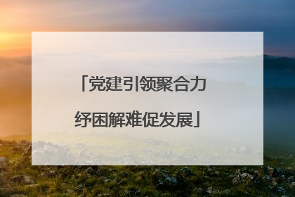 党建引领聚合力 纾困解难促发展