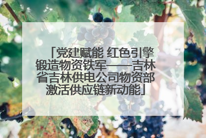 党建赋能 红色引擎锻造物资铁军——吉林省吉林供电公司物资部激活供应链新动能