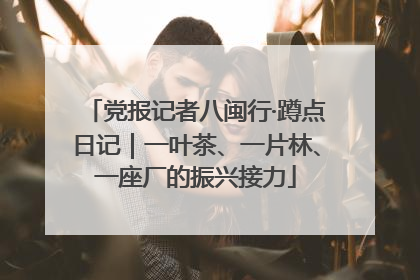 党报记者八闽行·蹲点日记｜一叶茶、一片林、一座厂的振兴接力