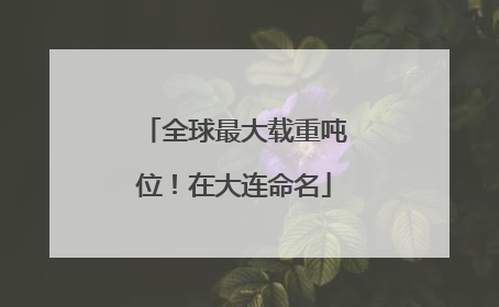 全球最大载重吨位！在大连命名