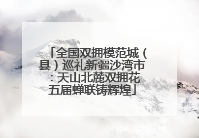 全国双拥模范城（县）巡礼新疆沙湾市：天山北麓双拥花 五届蝉联铸辉煌