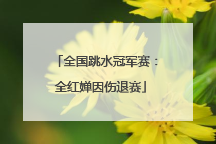 全国跳水冠军赛：全红婵因伤退赛