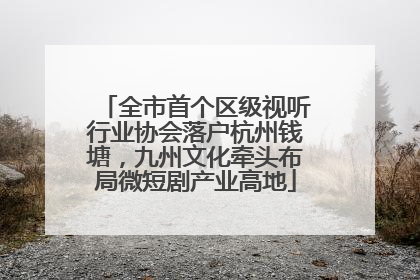 全市首个区级视听行业协会落户杭州钱塘，九州文化牵头布局微短剧产业高地