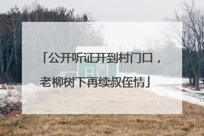 公开听证开到村门口，老柳树下再续叔侄情