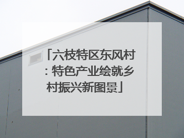 六枝特区东风村：特色产业绘就乡村振兴新图景