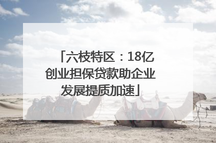 六枝特区：18亿创业担保贷款助企业发展提质加速
