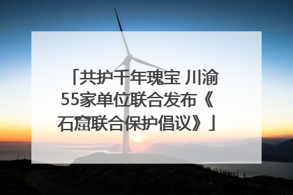 共护千年瑰宝 川渝55家单位联合发布《石窟联合保护倡议》
