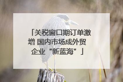 关税窗口期订单激增 国内市场成外贸企业“新蓝海”