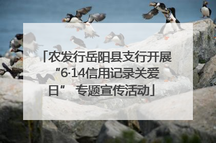 农发行岳阳县支行开展“6·14信用记录关爱日” 专题宣传活动