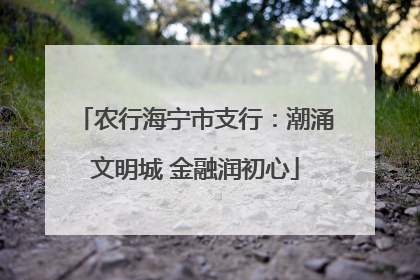 农行海宁市支行：潮涌文明城 金融润初心