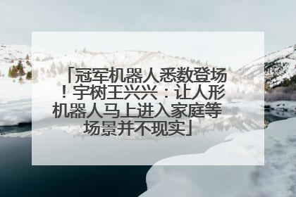 冠军机器人悉数登场！宇树王兴兴：让人形机器人马上进入家庭等场景并不现实