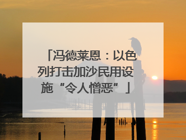 冯德莱恩：以色列打击加沙民用设施“令人憎恶”
