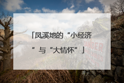 凤溪地的“小经济”与“大情怀”