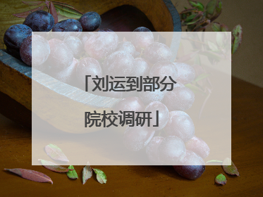刘运到部分院校调研