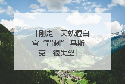 刚走一天就遭白宫“背刺” 马斯克：很失望