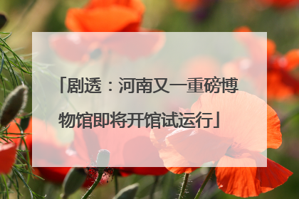 剧透：河南又一重磅博物馆即将开馆试运行