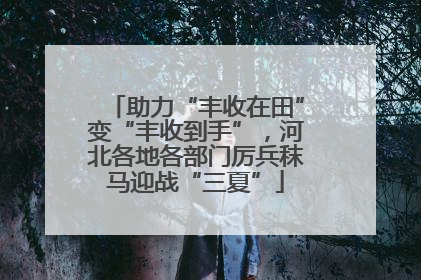 助力“丰收在田”变“丰收到手”，河北各地各部门厉兵秣马迎战“三夏”