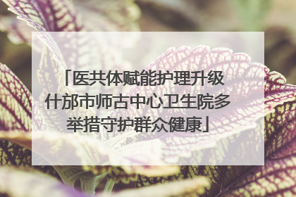 医共体赋能护理升级 什邡市师古中心卫生院多举措守护群众健康