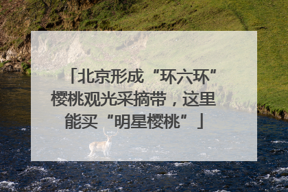 北京形成“环六环”樱桃观光采摘带，这里能买“明星樱桃”