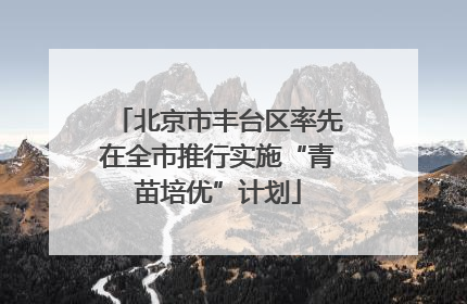 北京市丰台区率先在全市推行实施“青苗培优”计划
