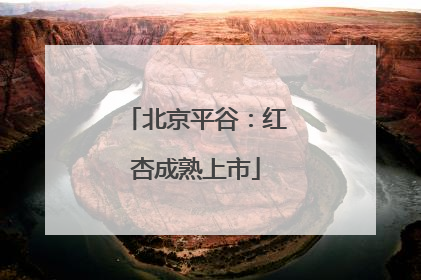 北京平谷：红杏成熟上市