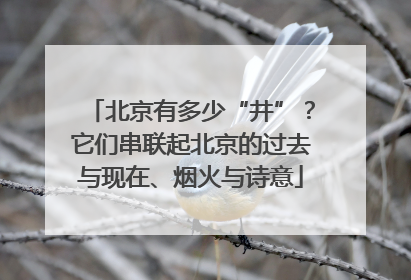 北京有多少“井”？它们串联起北京的过去与现在、烟火与诗意
