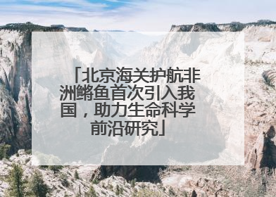 北京海关护航非洲鳉鱼首次引入我国，助力生命科学前沿研究