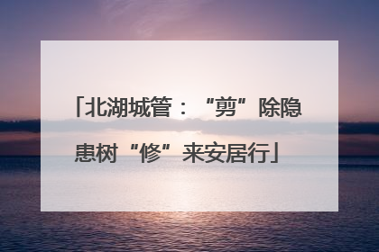 北湖城管：“剪”除隐患树“修”来安居行