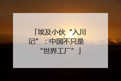埃及小伙“入川记”：中国不只是“世界工厂”