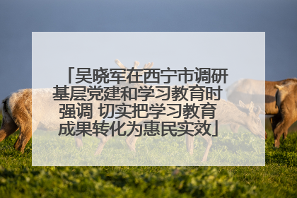 吴晓军在西宁市调研基层党建和学习教育时强调 切实把学习教育成果转化为惠民实效