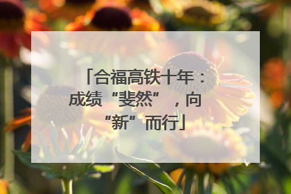 合福高铁十年：成绩“斐然”，向“新”而行