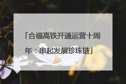 合福高铁开通运营十周年：串起发展珍珠链