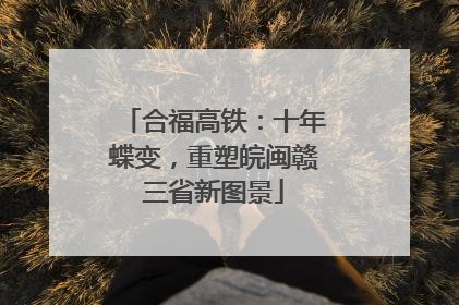 合福高铁：十年蝶变，重塑皖闽赣三省新图景